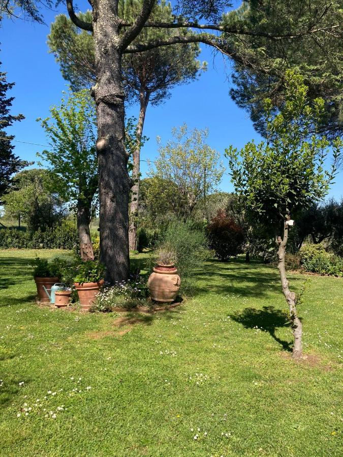 Tenuta Poggio Farnia Bauernhof *
