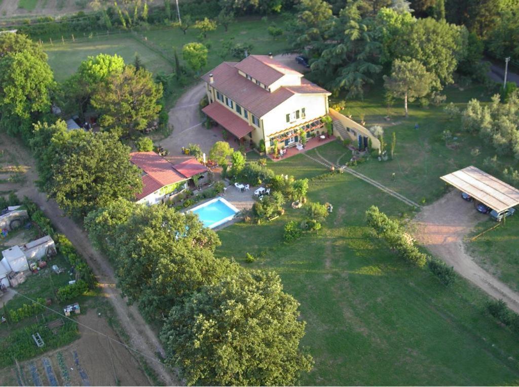 Tenuta Poggio Farnia Bauernhof Fauglia