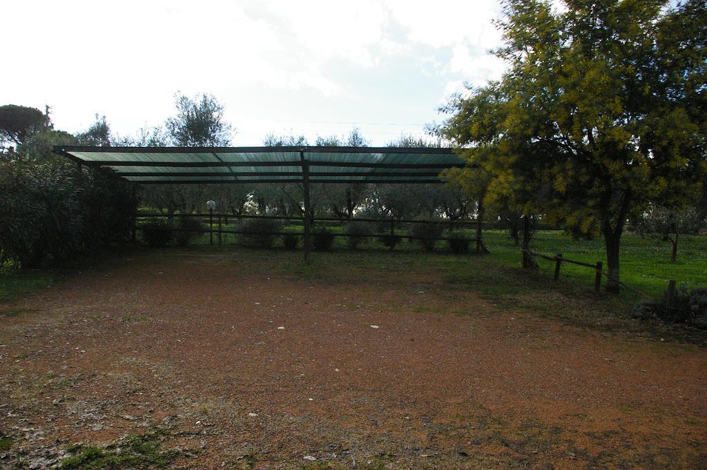 Tenuta Poggio Farnia